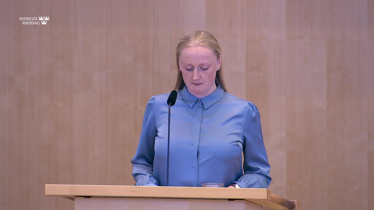 Stillbild från Debatt om förslag, Partnerskapsavtal mellan Europeiska unionen och dess medlemsstater och medlemmarna i Organisationen för stater i Afrika, Karibien och Stillahavsområdet