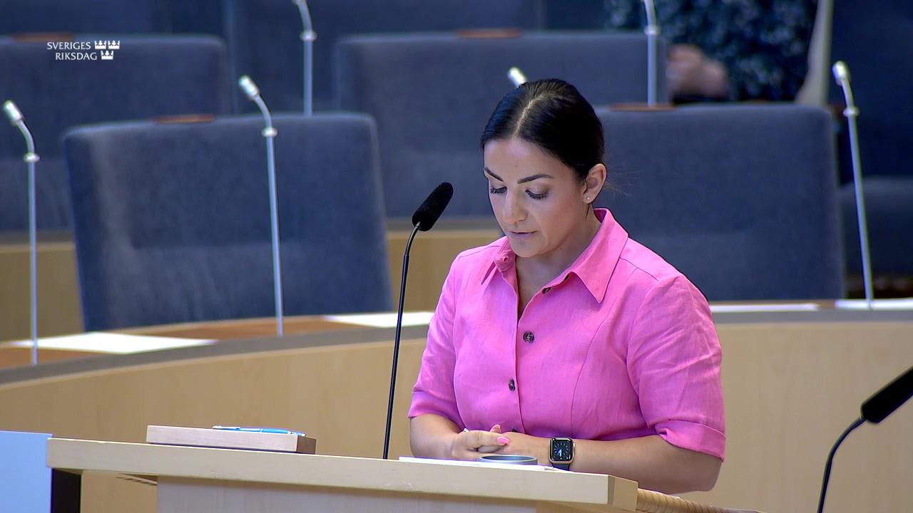 Stillbild från Interpellationsdebatt, Avgränsningarna av samarbetsområden i Tidöavtalet