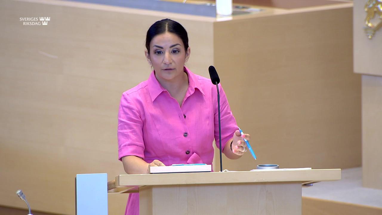 Stillbild från Interpellationsdebatt, Framtiden för kulturarvet Sätra Brunn