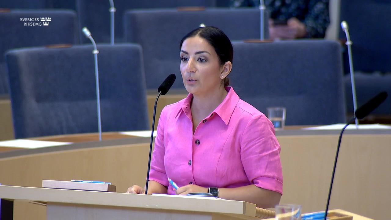 Stillbild från Interpellationsdebatt, Utveckling av våra svenska världsarv