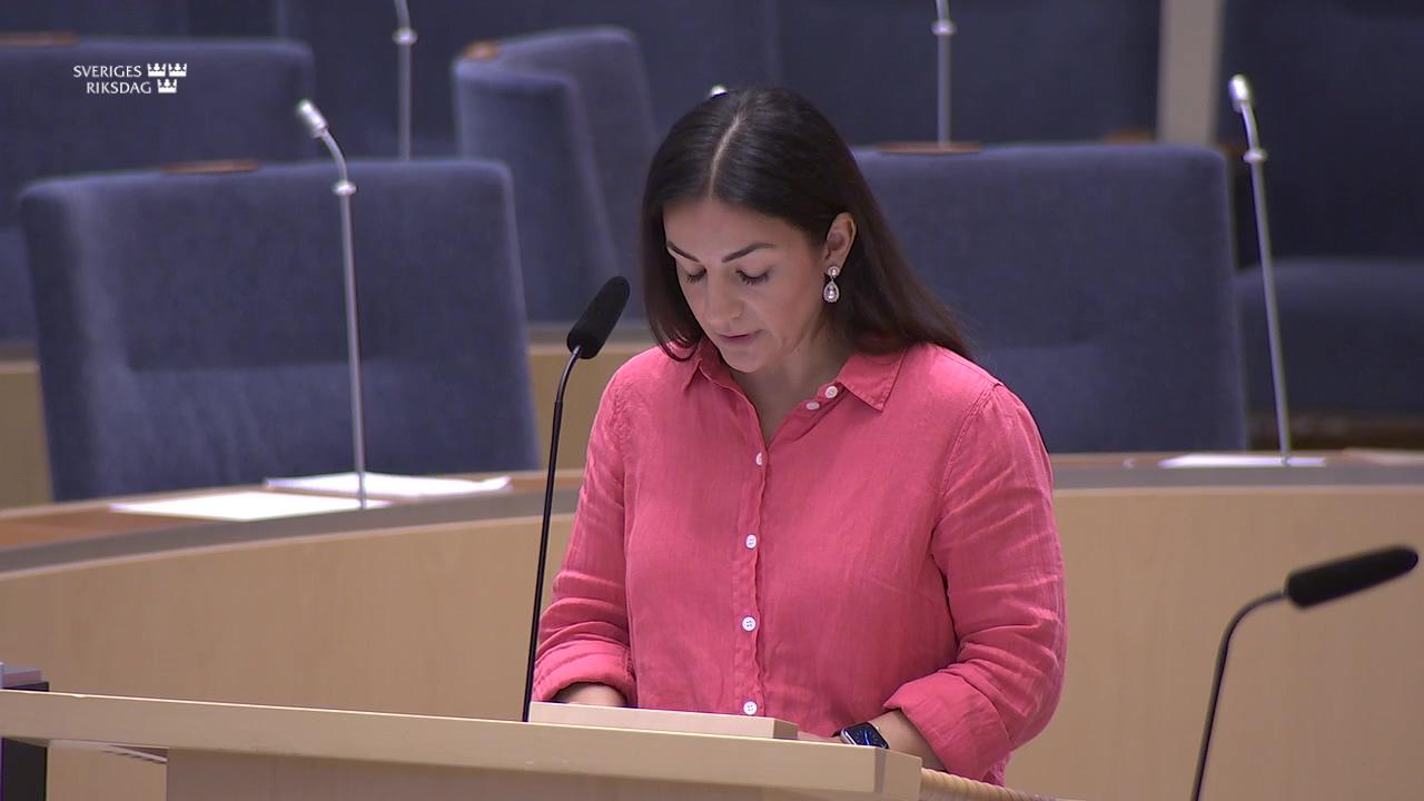 Stillbild från Interpellationsdebatt, Falska kontons undergrävande av det demokratiska samtalet