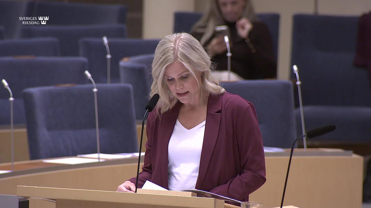 Stillbild från Interpellationsdebatt, Arbetet mot våld i nära relation