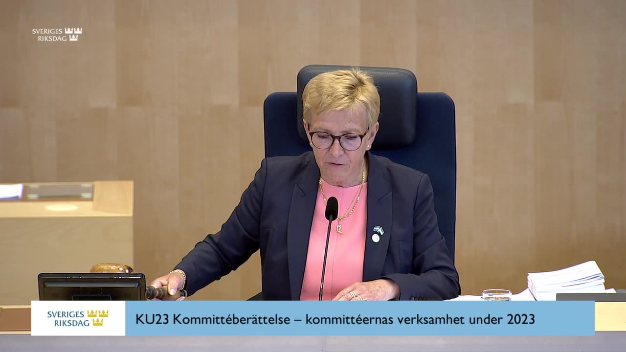 Stillbild från Beslut, Beslut: Kommittéberättelse – kommittéernas verksamhet under 2023