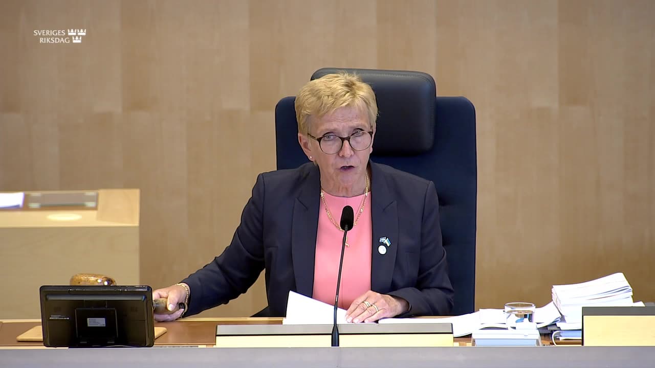 Stillbild från Beslut, Beslut: Europarådet
