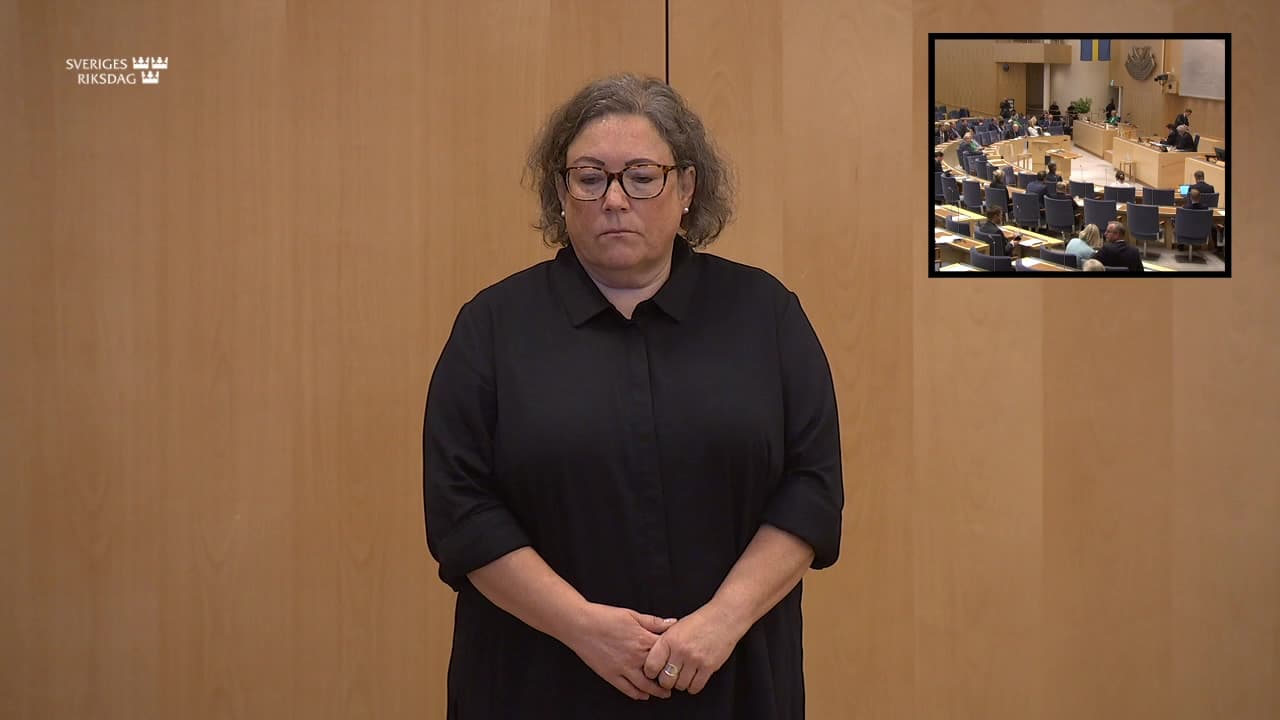 Stillbild från Partiledardebatt, Partiledardebatt – teckenspråkstolkad