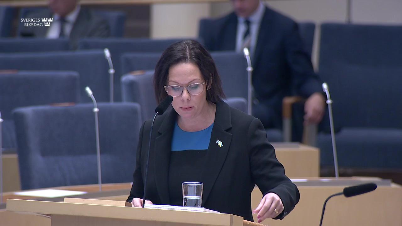 Stillbild från Interpellationsdebatt, Ambassadören mot människohandel 
