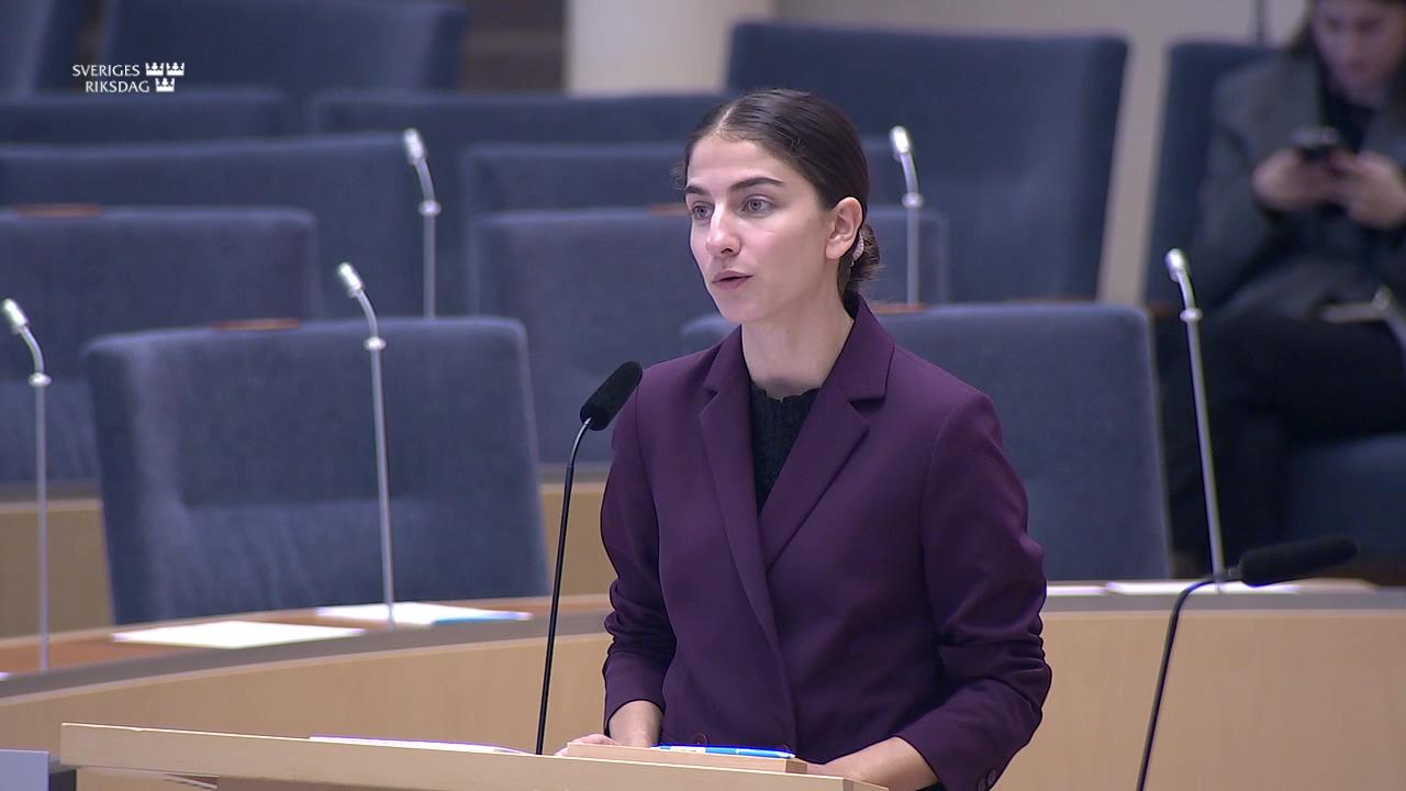 Stillbild från Interpellationsdebatt, Industrins behov av kalk