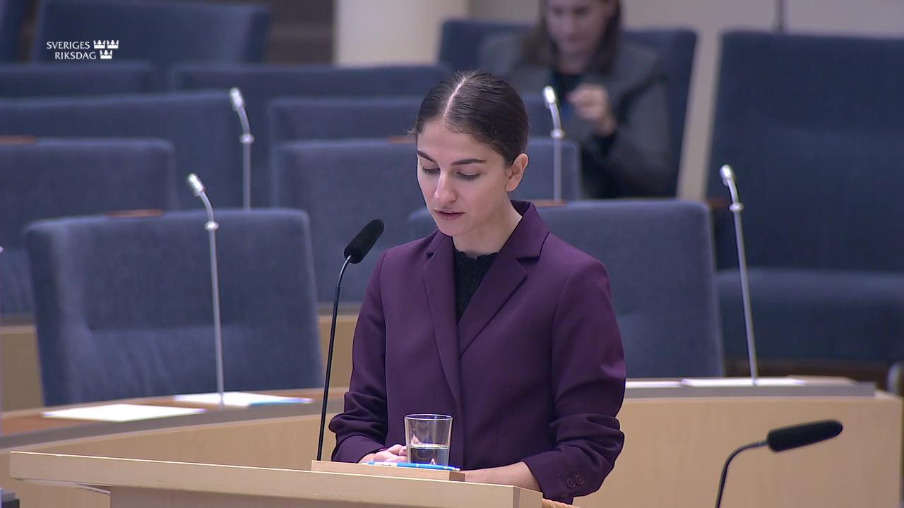 Stillbild från Interpellationsdebatt, Klimatmål i överenskommelser