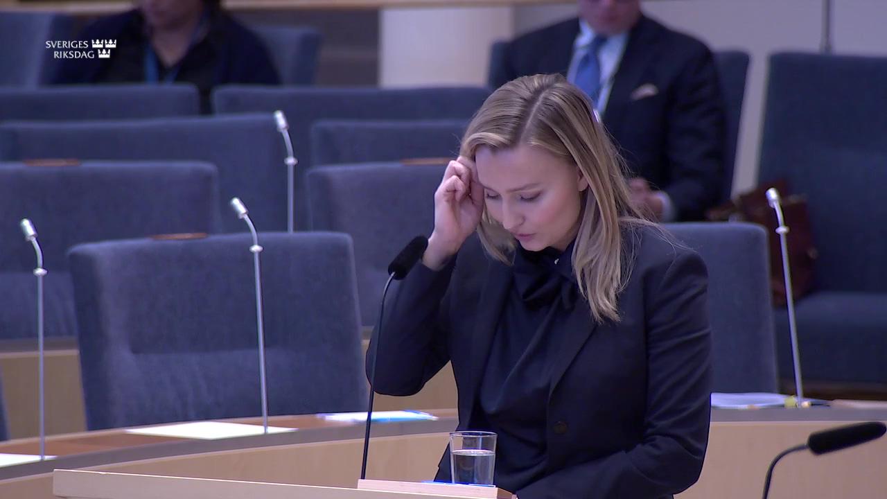 Stillbild från Interpellationsdebatt, Säker och hållbar tillgång till mineral och metaller