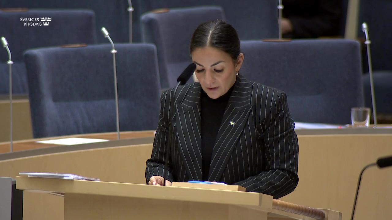 Stillbild från Interpellationsdebatt, Hot mot demokratin och mänskliga rättigheter 