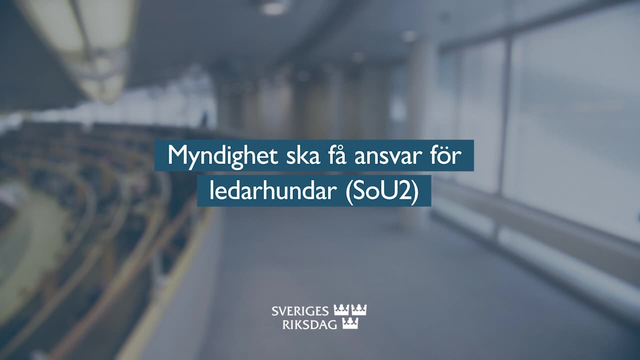 Stillbild från Beslut, Teckenspråkstolkat beslut: Myndighet ska få ansvar för ledarhundar