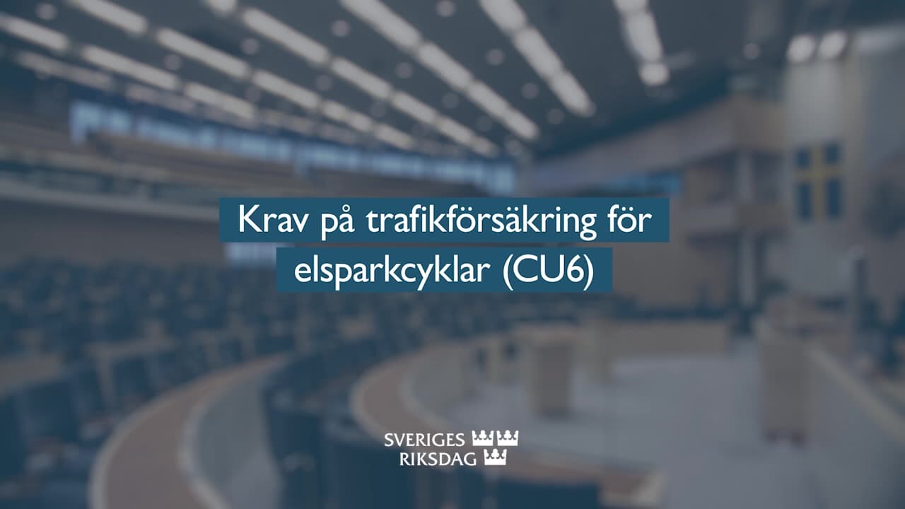 Stillbild från Beslut, Teckenspråkstolkat beslut: Krav på trafikförsäkring för elsparkcyklar 