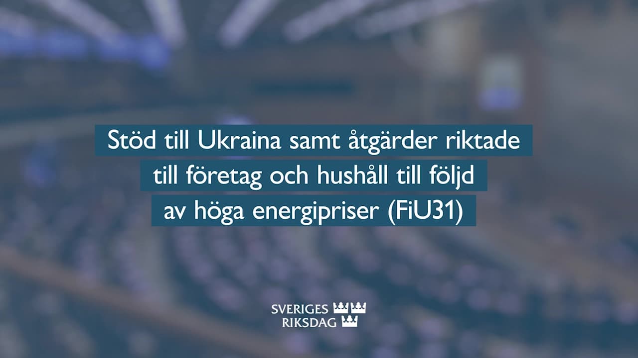 Stillbild från Beslut, Teckenspråkstolkat beslut: Extra ändringsbudget: Stöd till Ukraina samt åtgärder riktade till företag och hushåll till följd av höga energipriser