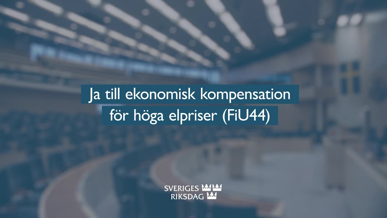 Stillbild från Beslut, Teckenspråkstolkat beslut: Ja till ekonomisk kompensation för höga elpriser