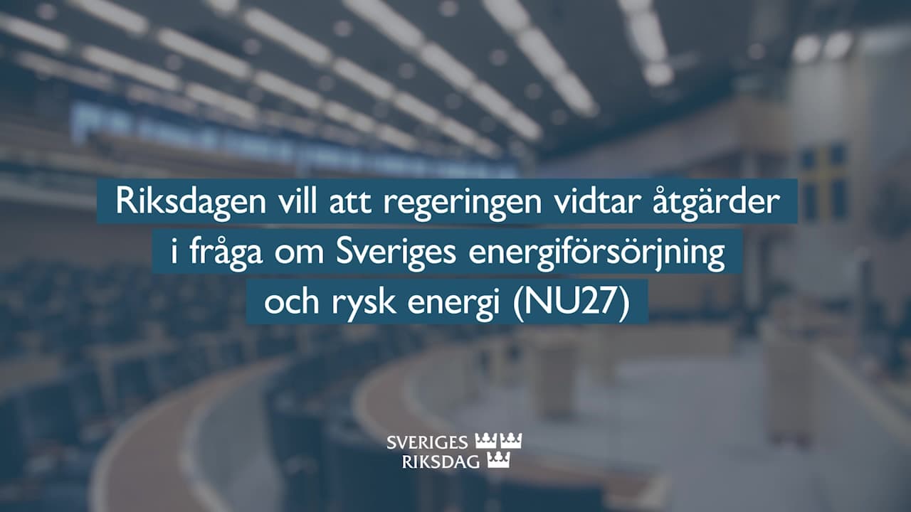 Stillbild från Beslut, Teckenspråkstolkat beslut: Riksdagen vill att regeringen vidtar åtgärder i fråga om Sveriges energiförsörjning och rysk energi