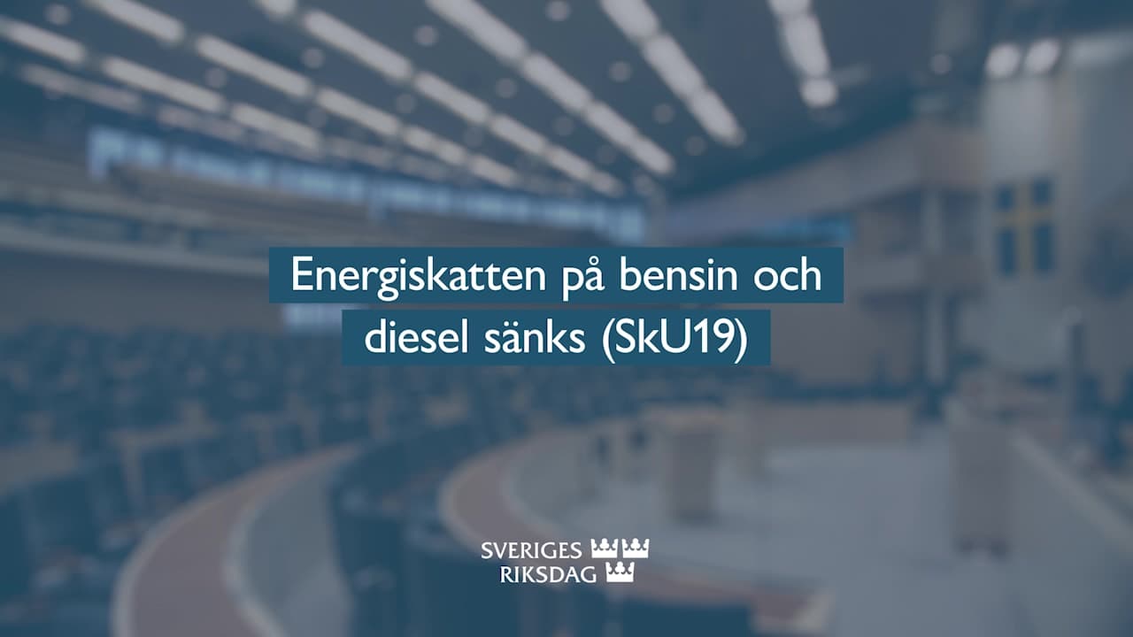Stillbild från Beslut, Teckenspråkstolkat beslut: Energiskatten på bensin och diesel sänks