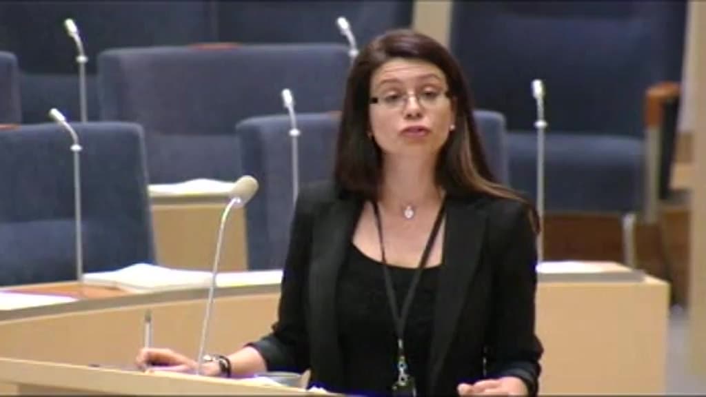 Stillbild från Debatt om förslag, Förlängd tillgänglighetsperiod för krediten till Island