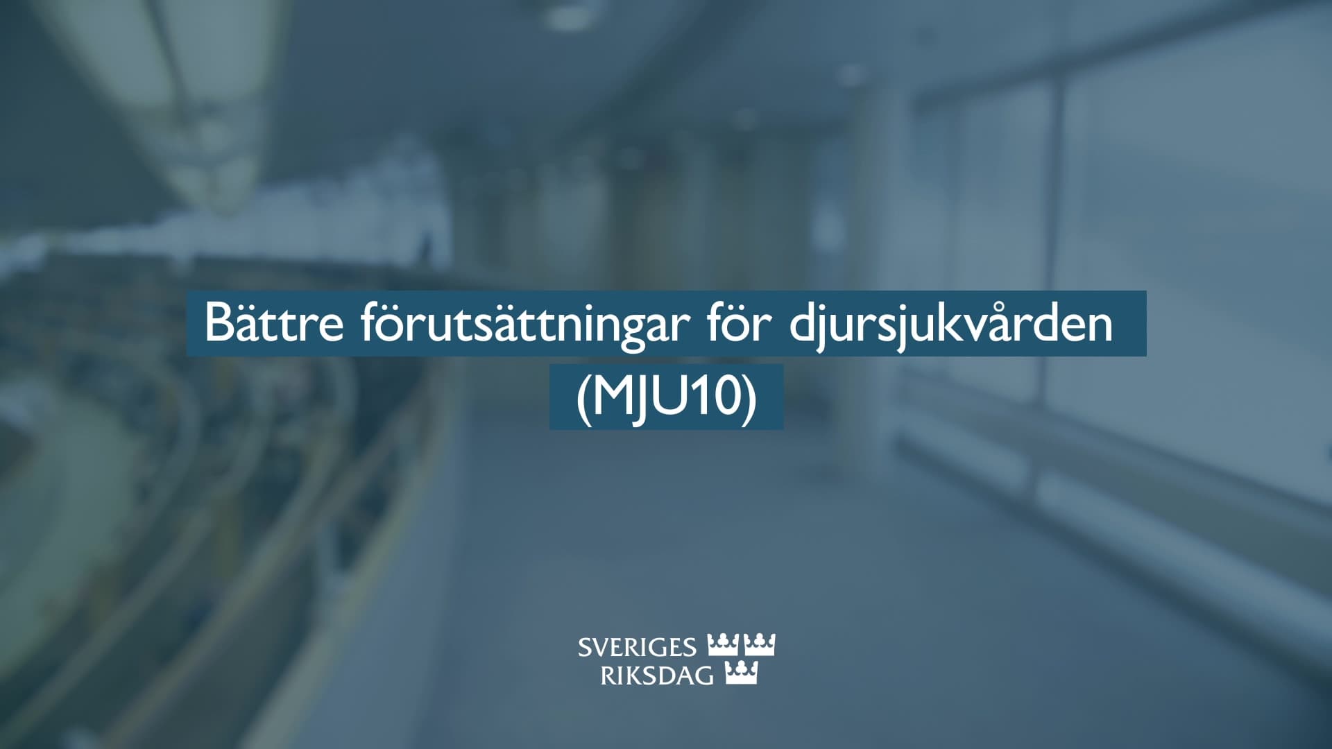 Stillbild från Beslut, Teckenspråkstolkat beslut: Bättre förutsättningar för djursjukvården