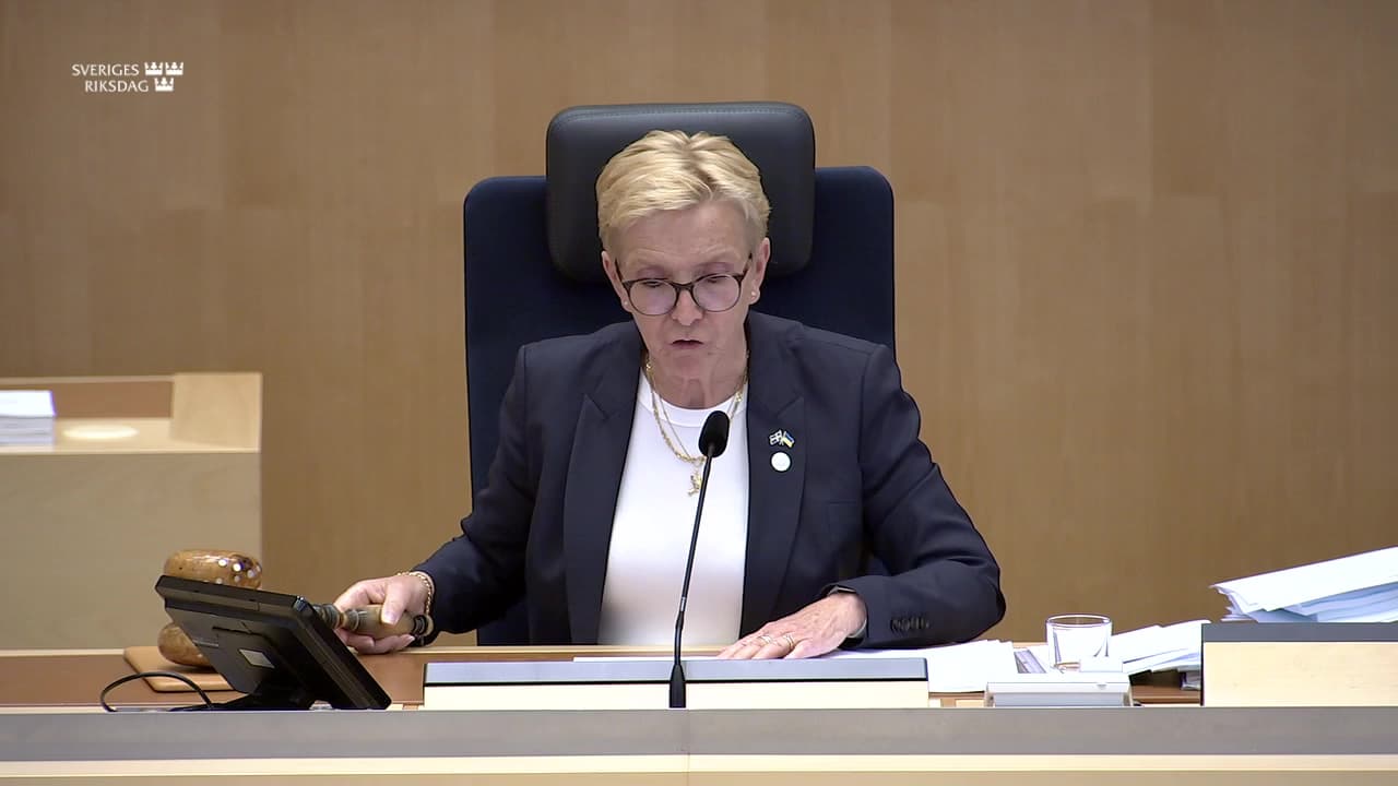 Stillbild från Beslut, Beslut: Skärpta åtgärder mot utförsel av stöldgods