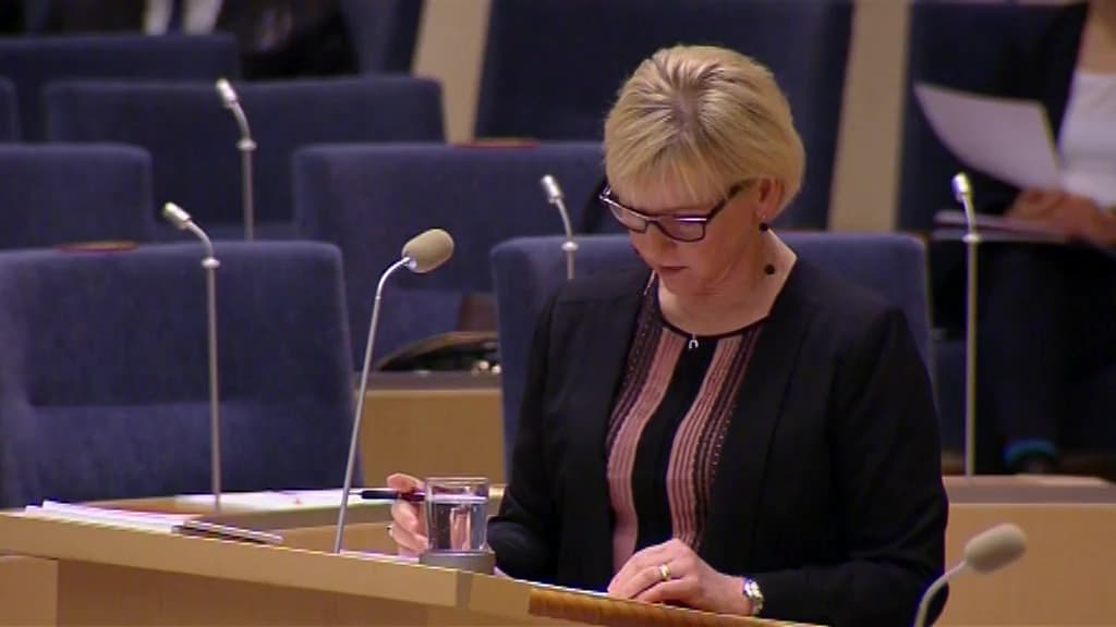 Stillbild från Interpellationsdebatt, Sveriges hållning till Republiken Kina (Taiwan)