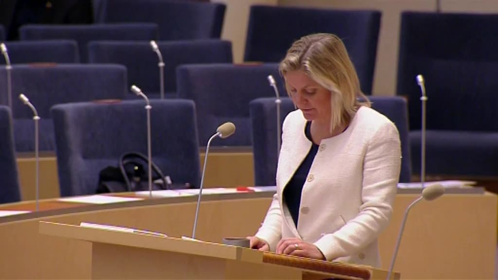 Stillbild från Interpellationsdebatt, Regeringens agerande gällande Efsi