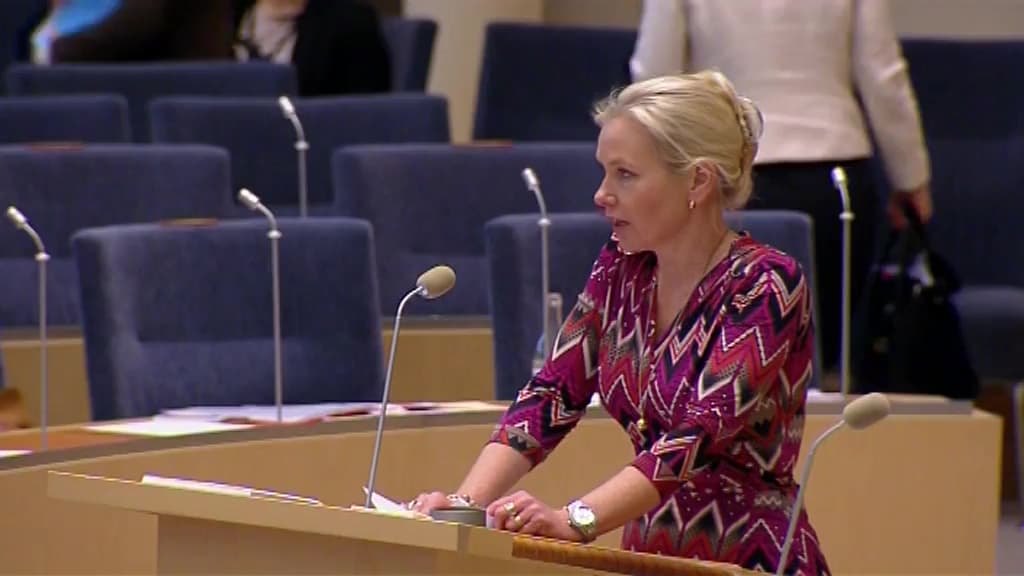 Stillbild från Interpellationsdebatt, Situationen i flygbranschen