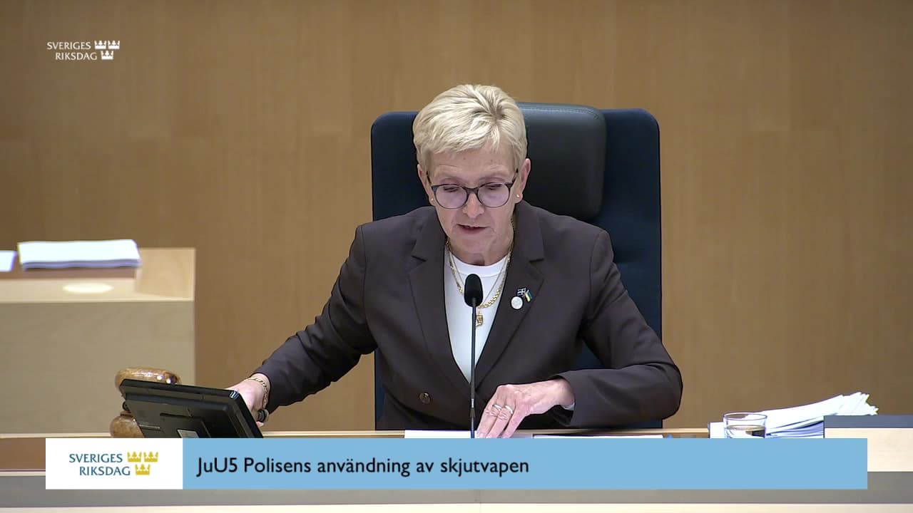 Stillbild från Beslut, Beslut: Polisens användning av skjutvapen