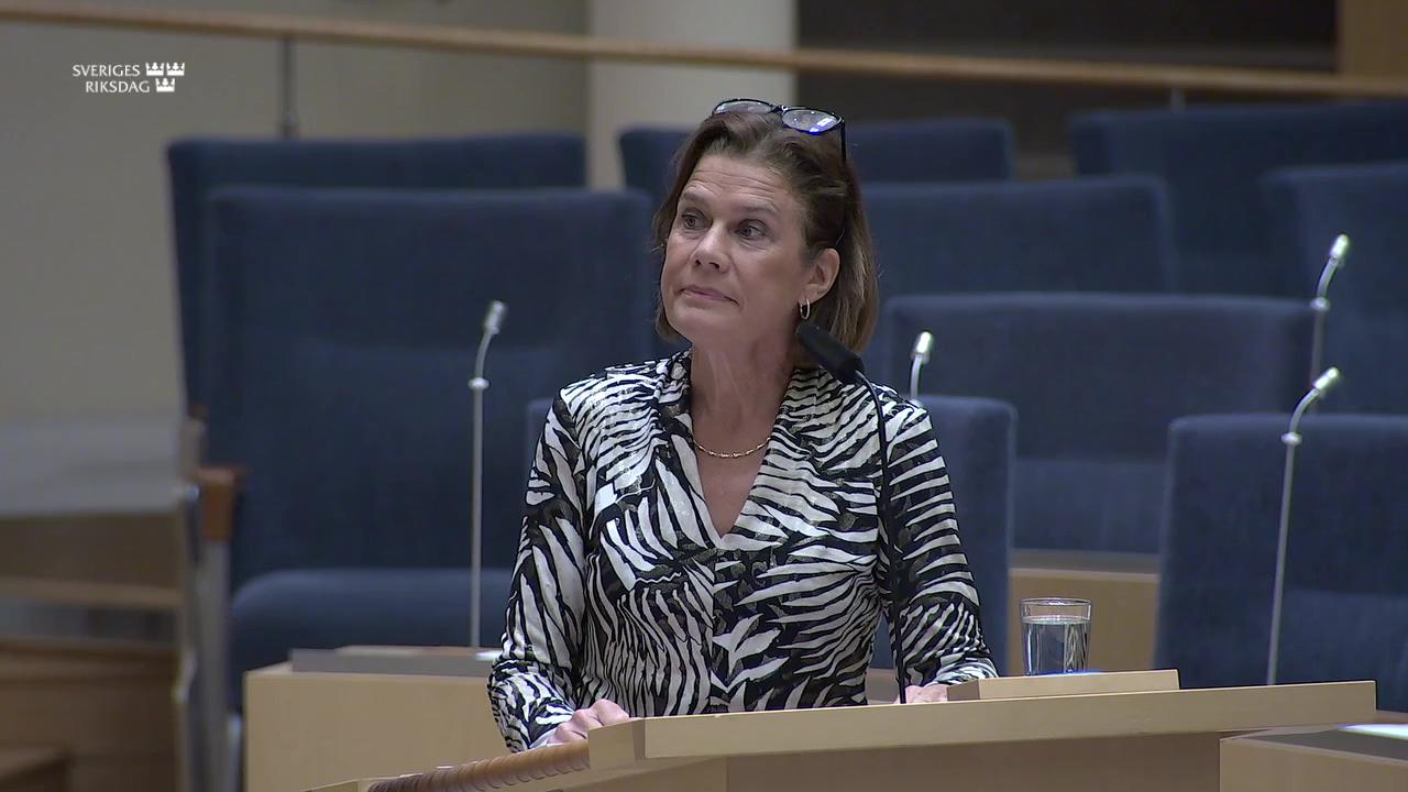 Stillbild från Interpellationsdebatt, Dumpade fartyg med kemiska stridsmedel