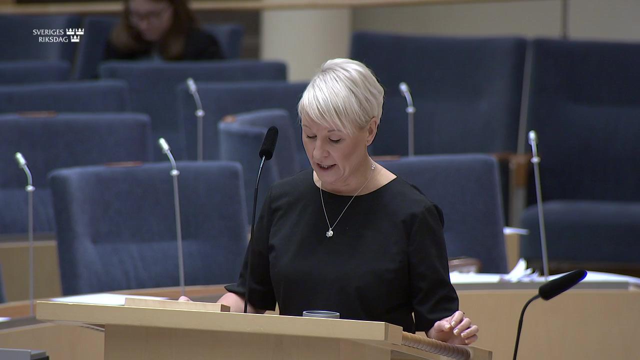 Stillbild från Interpellationsdebatt, En haverikommission för äldreomsorgen