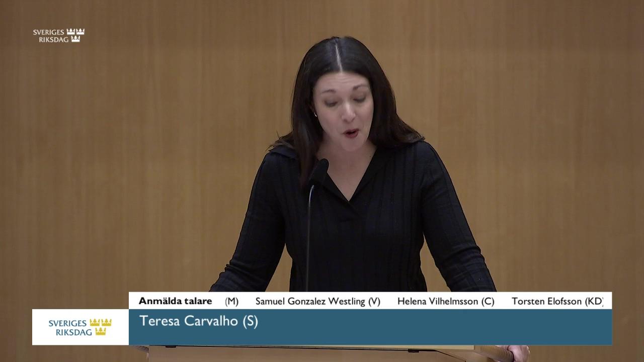 Stillbild från Debatt om förslag, Polisens arbete mot sexuella övergrepp mot barn i digitala miljöer