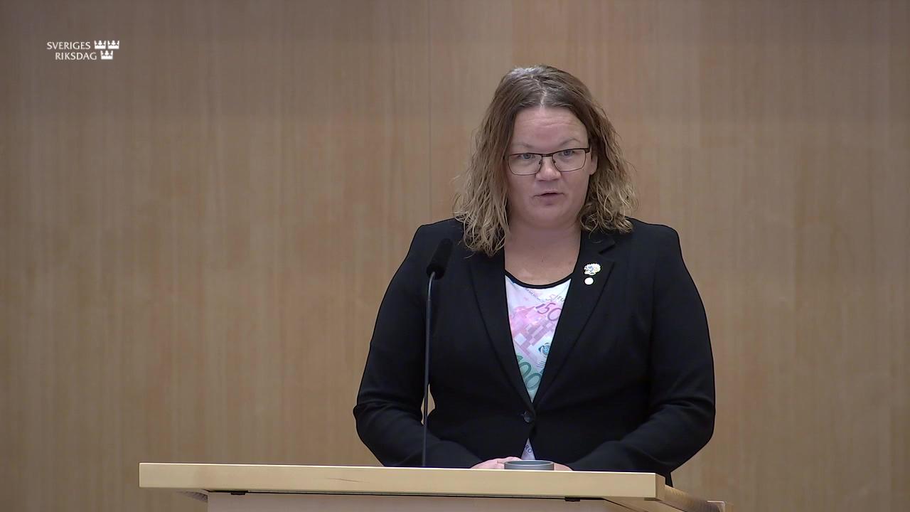 Stillbild från Särskild debatt, Särskild debatt om euron