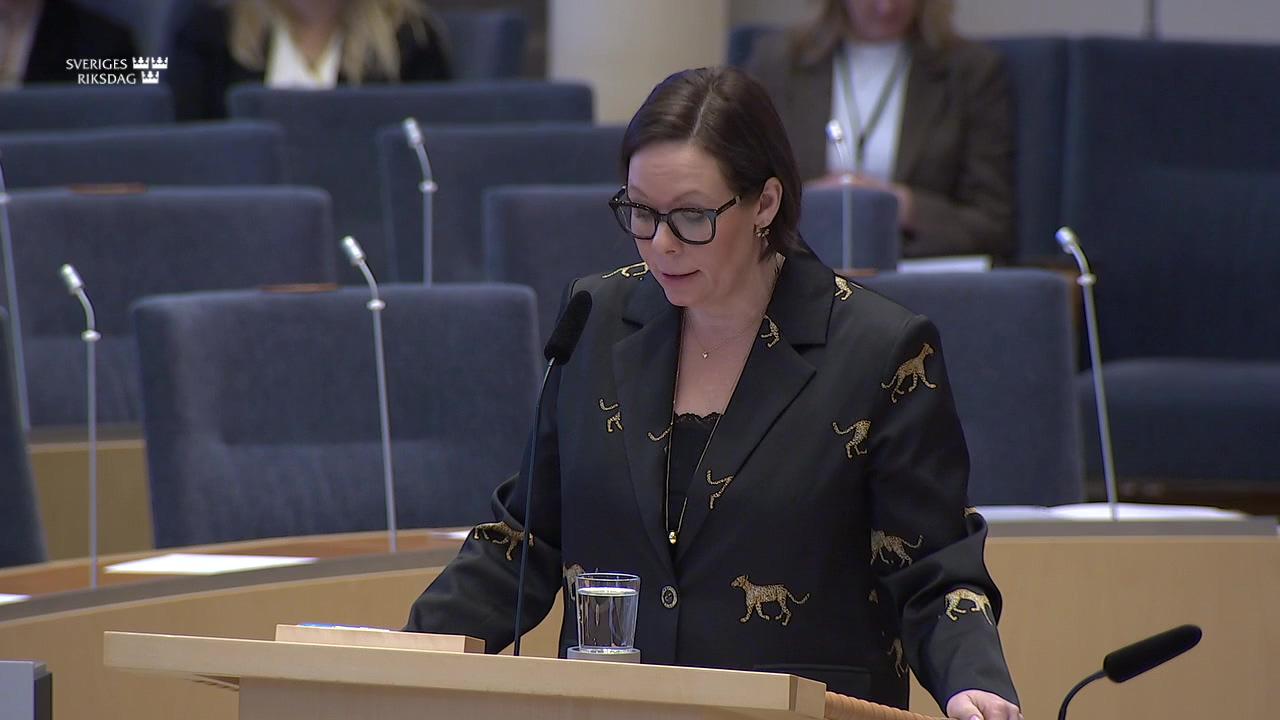 Stillbild från Interpellationsdebatt, Demokratirörelsen i Venezuela