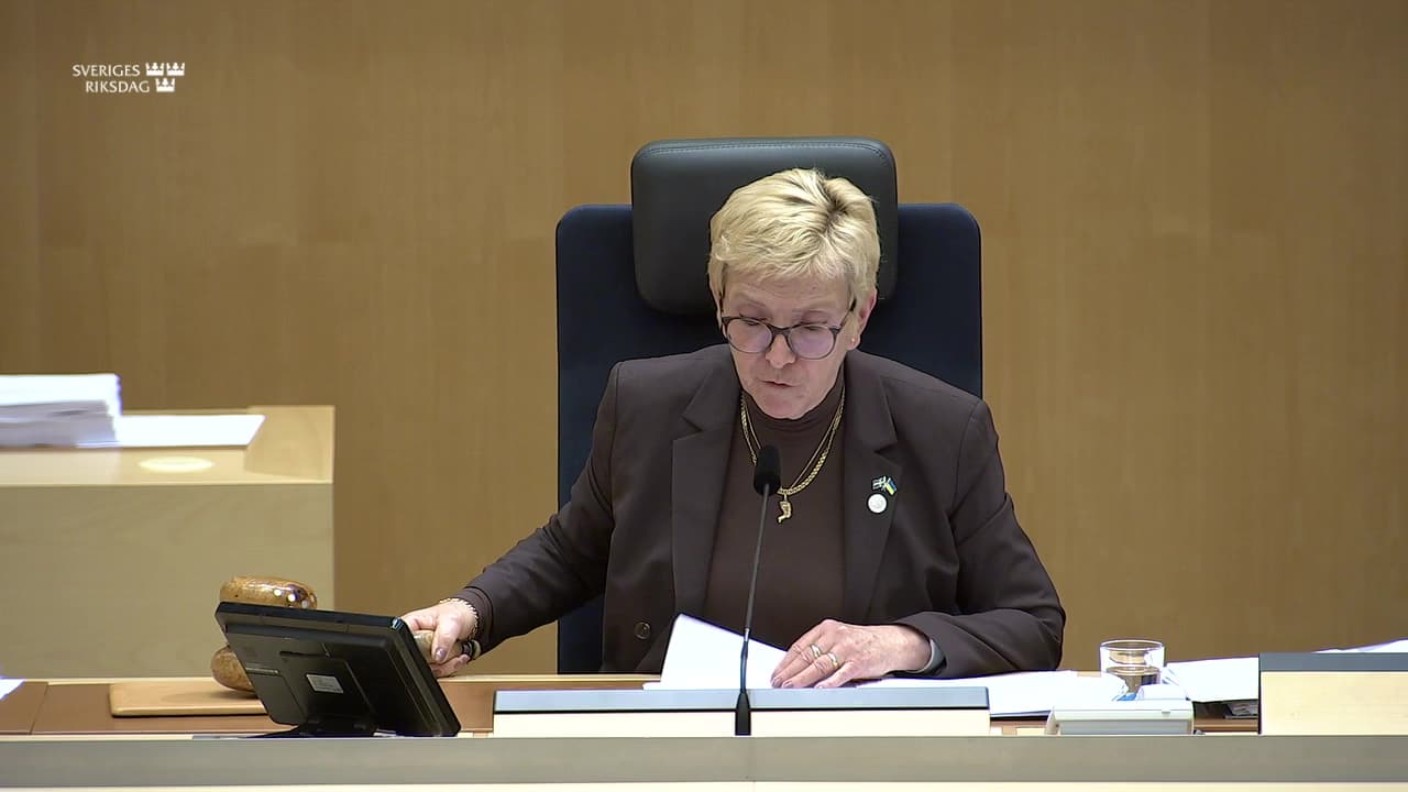 Stillbild från Beslut, Beslut: 2025 års redogörelse för tillämpningen av lagen om särskild kontroll av vissa utlänningar