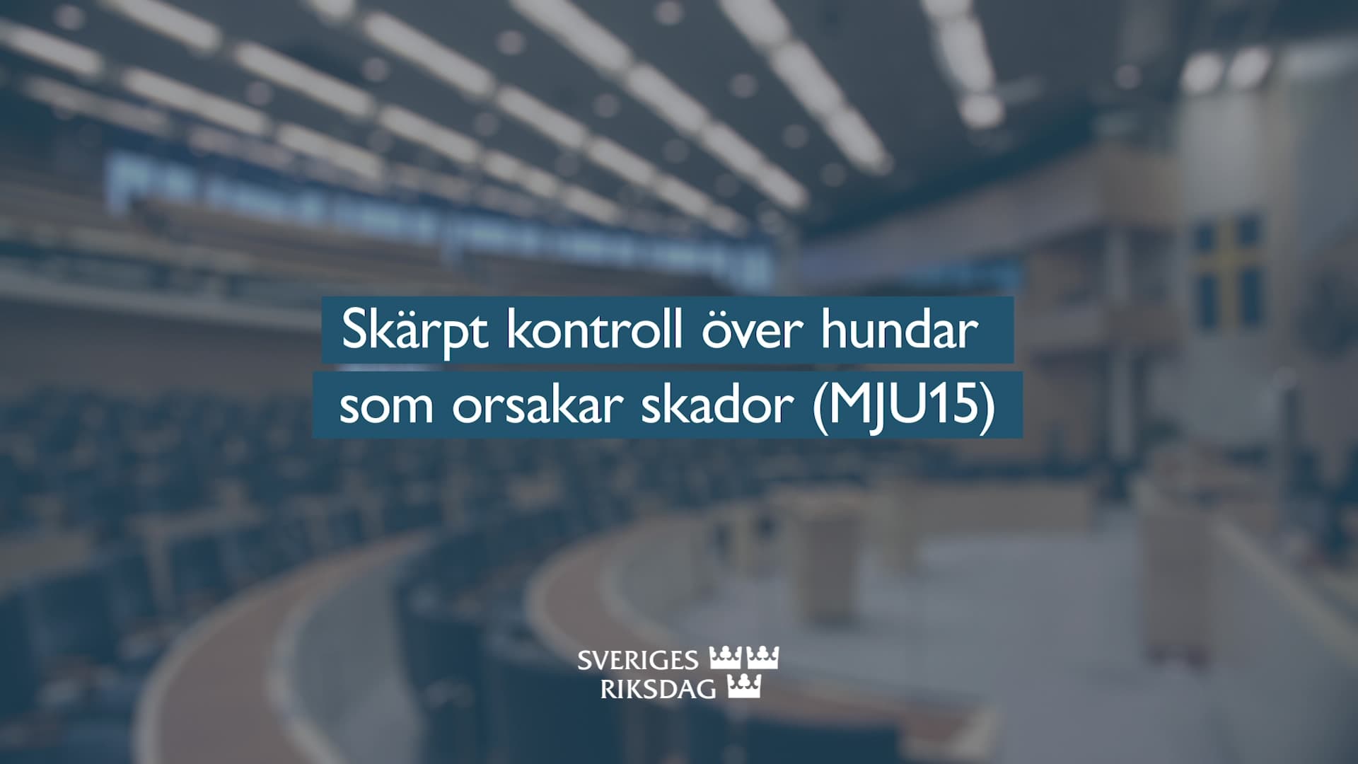 Stillbild från Beslut, Teckenspråkstolkat beslut: Skärpt kontroll över hundar som orsakar skador 