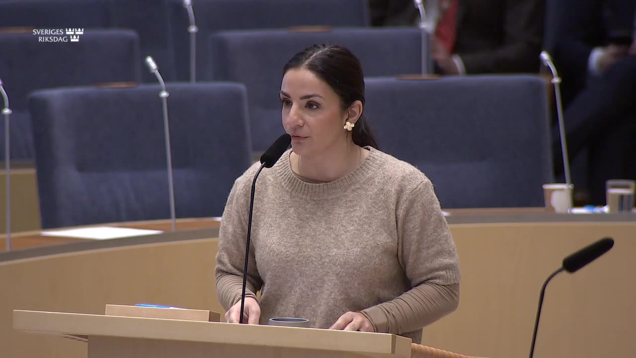 Stillbild från Interpellationsdebatt, Kulturarvet under vattenytan