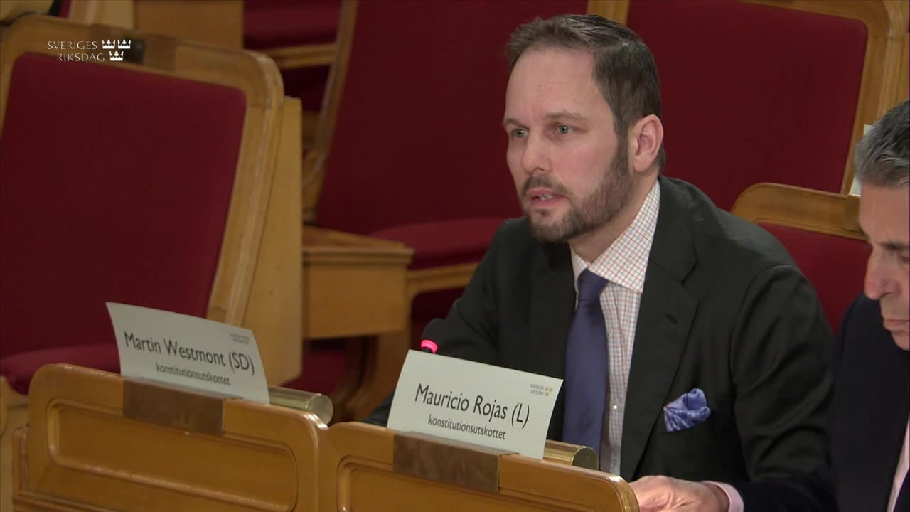 Stillbild från Öppen utfrågning, KU-utfrågning med tidigare finansmarknadsminister Åsa Lindhagen (MP)