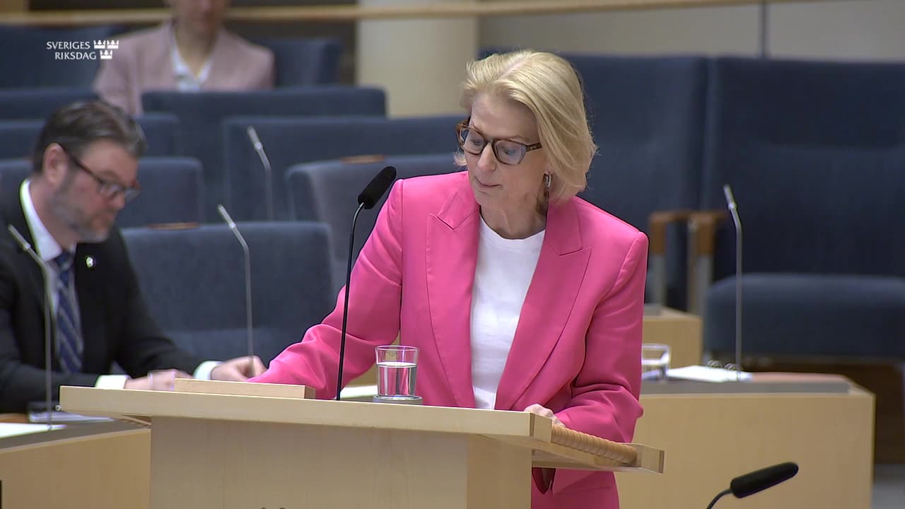 Stillbild från Interpellationsdebatt, En bred skatteöversyn