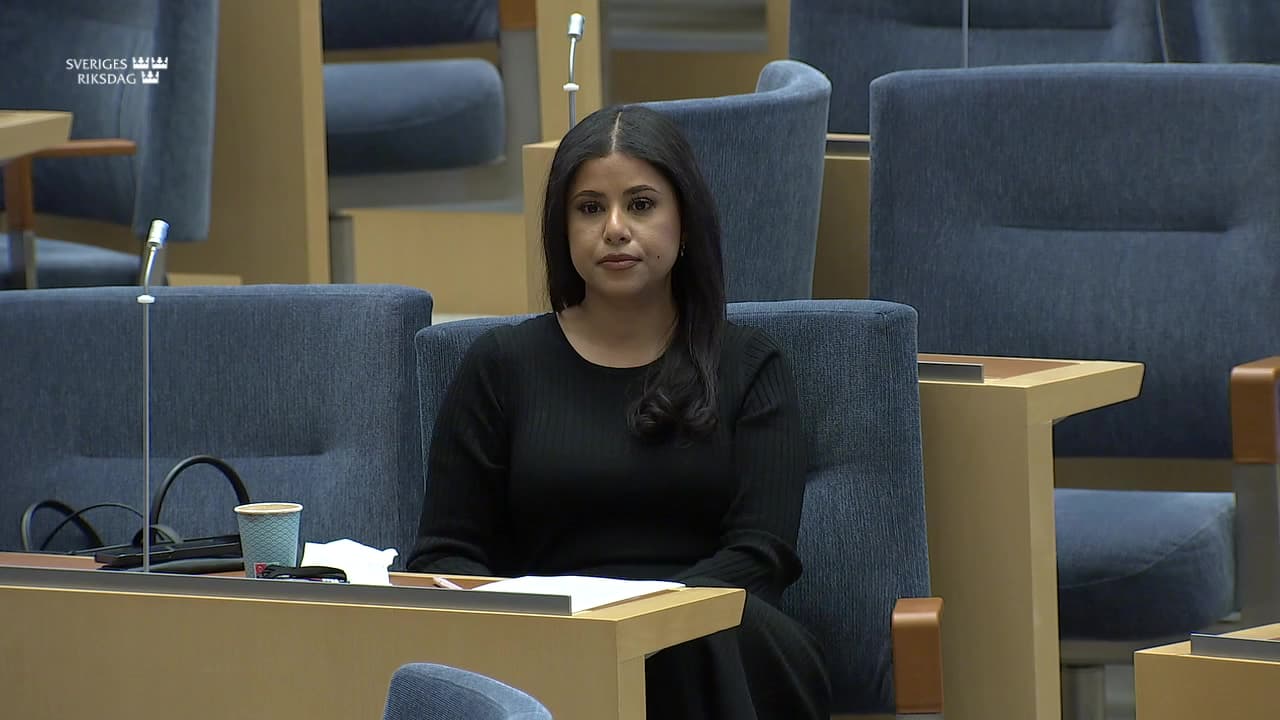 Stillbild från Interpellationsdebatt, Funktionsrätt Sveriges granskning