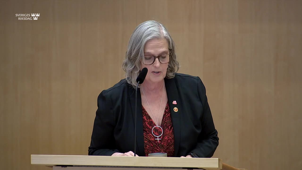 Stillbild från Debatt om förslag, Åtgärder mot mervärdesskattebedrägerier