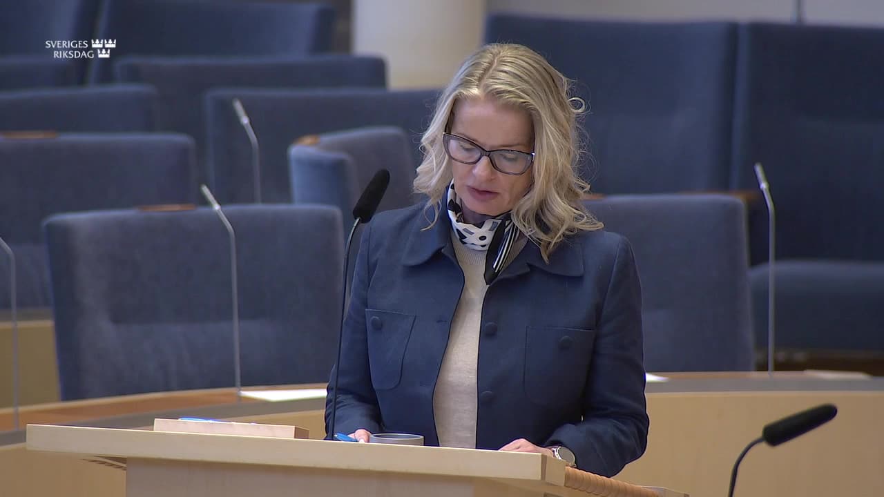 Stillbild från Interpellationsdebatt, Insatser för den svenska rymdbranschen
