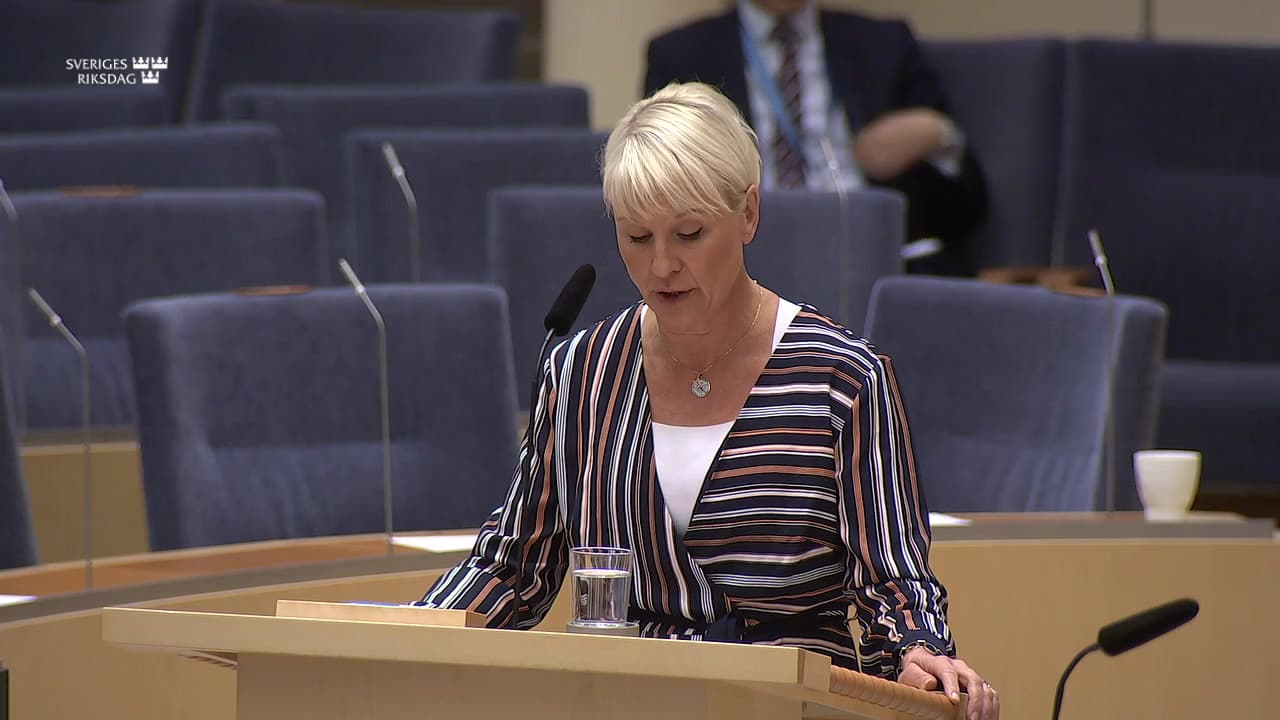 Stillbild från Interpellationsdebatt, Borttagandet av ersättningen för höga sjuklönekostnader
