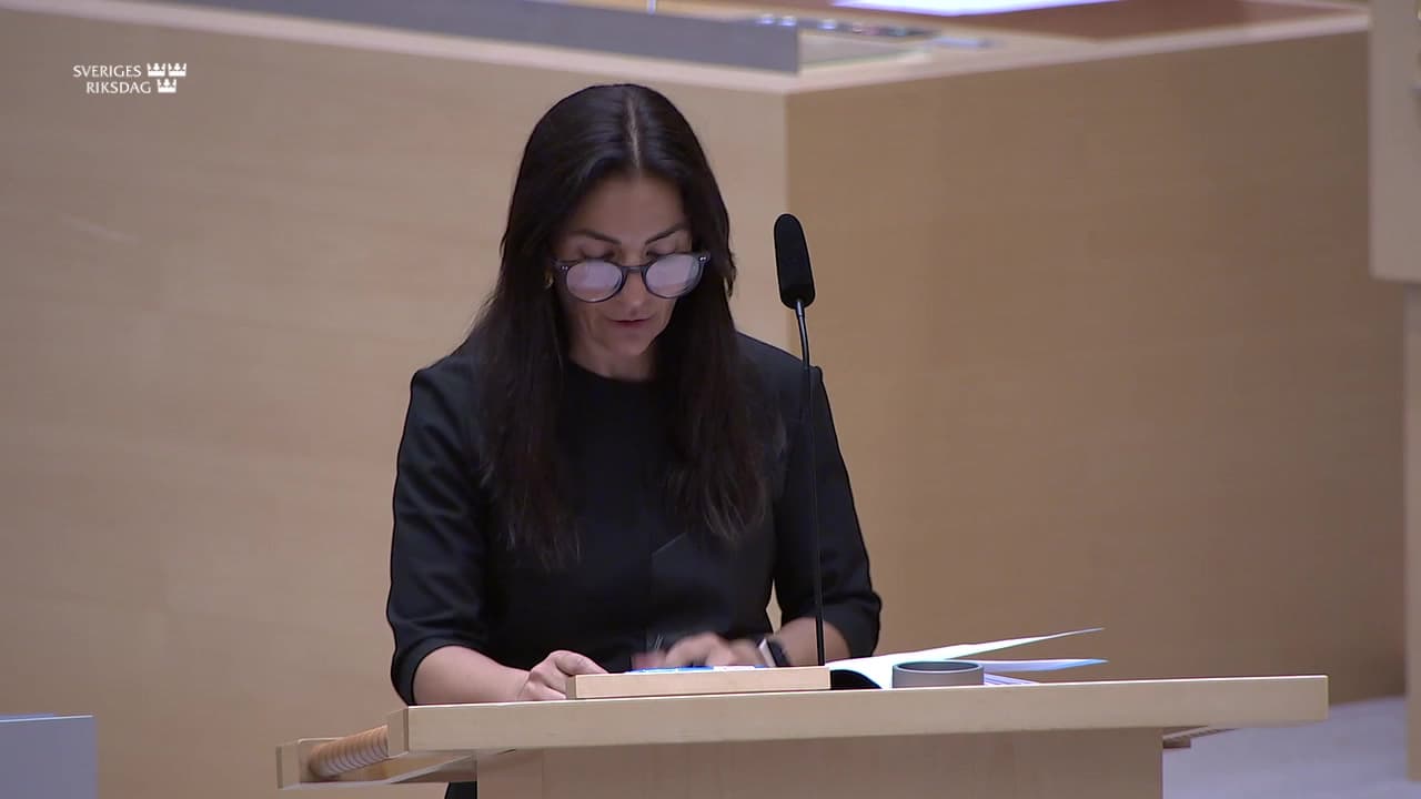 Stillbild från Interpellationsdebatt, Uppföljningsrapport om minoritetspolitiken