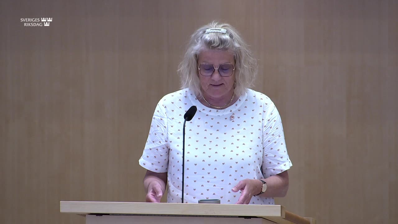 Stillbild från Debatt om förslag, Den parlamentariska processen med ledamoten i fokus