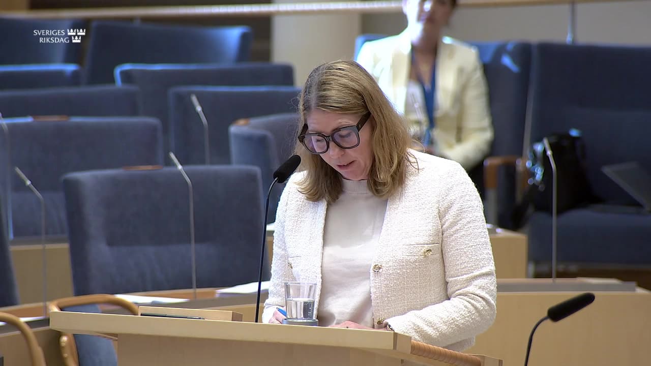 Stillbild från Interpellationsdebatt, LOV i primärvården