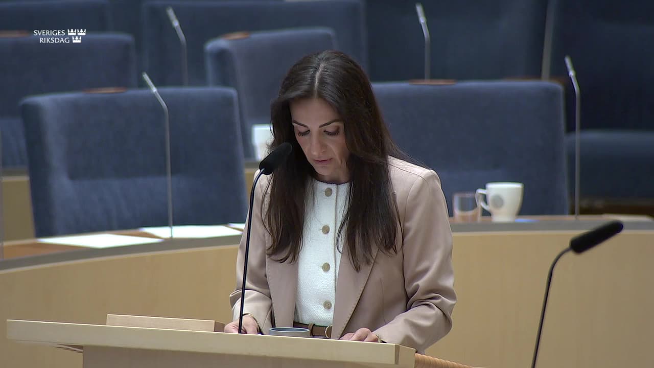 Stillbild från Interpellationsdebatt, Public service