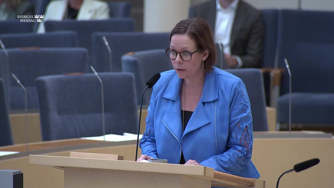 Stillbild från Interpellationsdebatt, Demokrati och mänskliga rättigheter i Turkiet