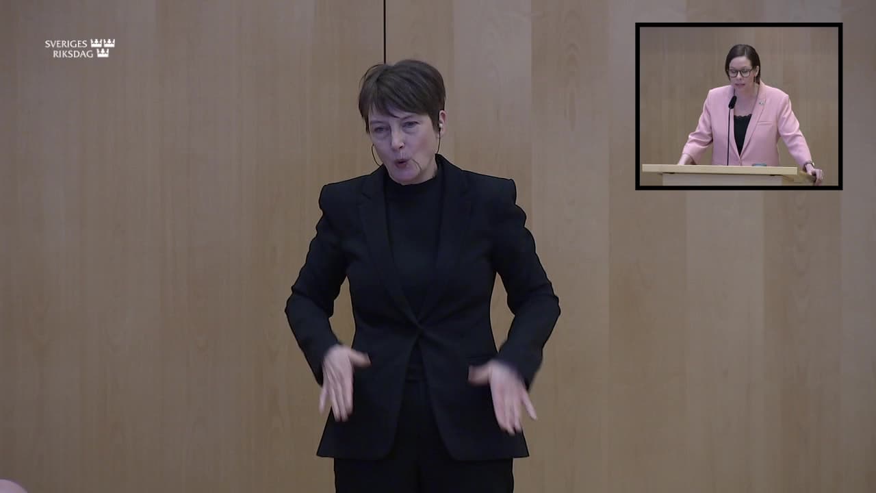 Stillbild från Utrikespolitisk debatt, Utrikespolitisk debatt – teckenspråkstolkad