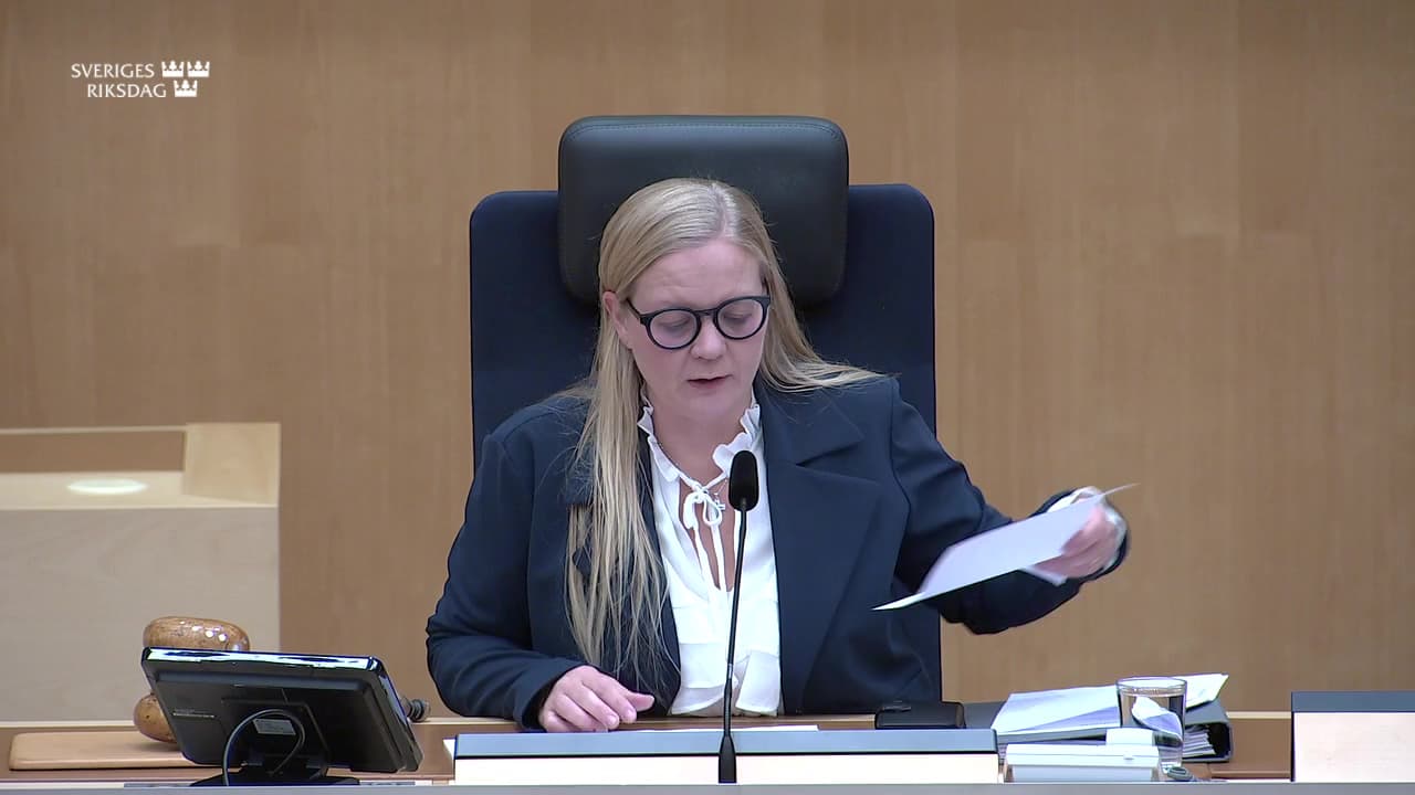 Stillbild från Allmänpolitisk debatt, Demokrati och mänskliga rättigheter