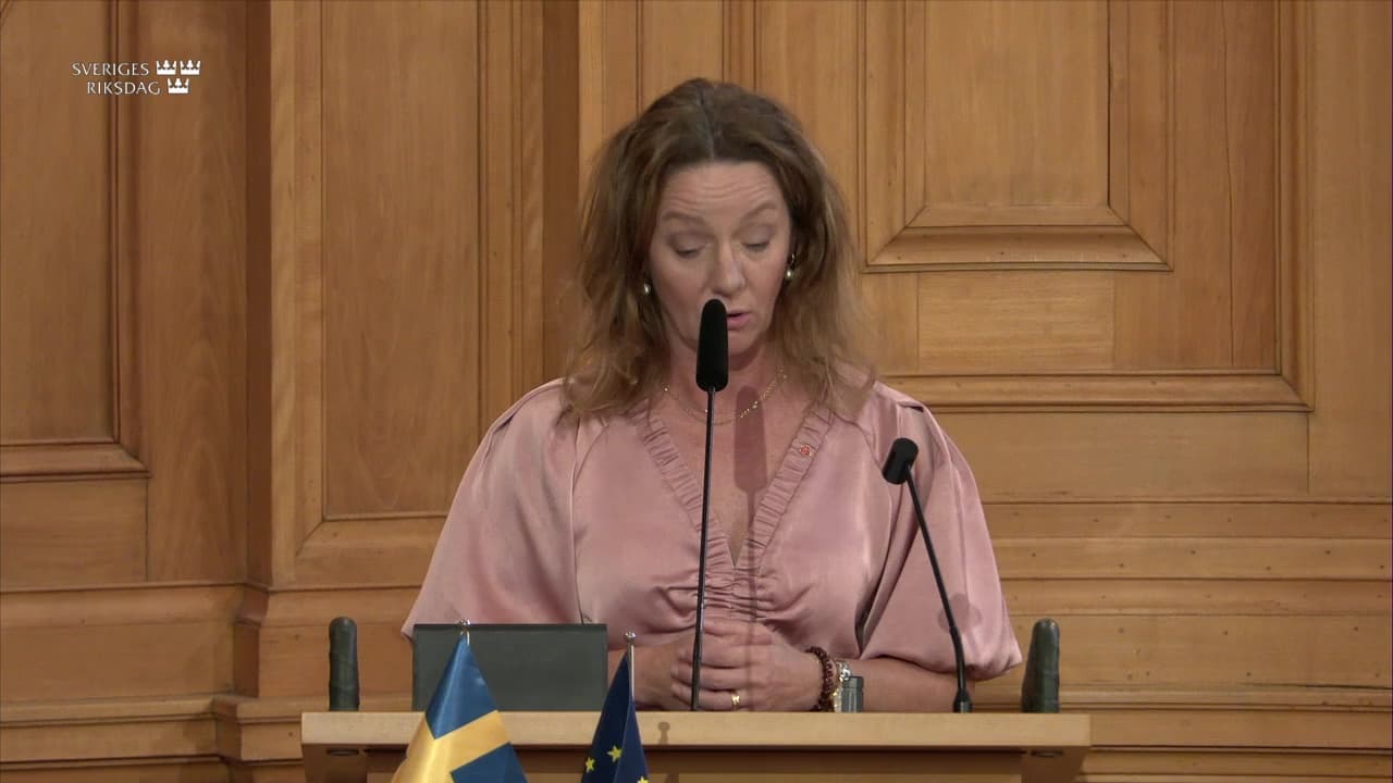 Stillbild från Seminarium, Seminarium: EU-nämnden 30 år – En arena för demokratisk förankring?