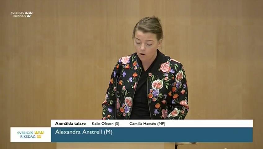 Stillbild från Debatt om förslag, Samhällets krisberedskap